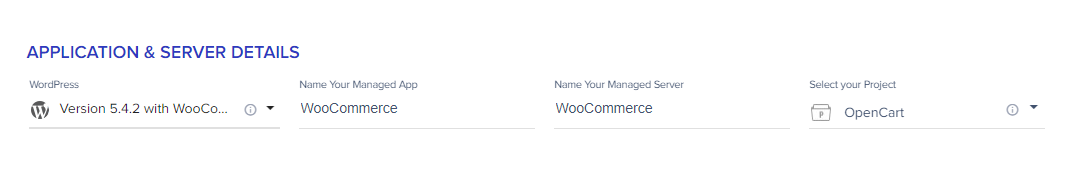 name your application and server in cloudways