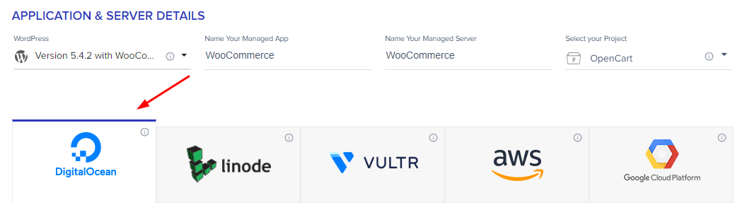 choose your cloud provider in cloudways