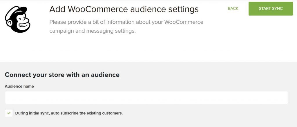 MailChimp Audience 