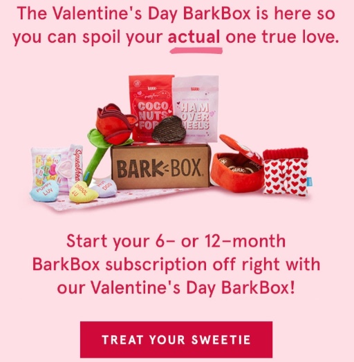 Valentines barkbox outlet