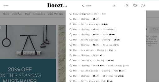 WordPress Search System page