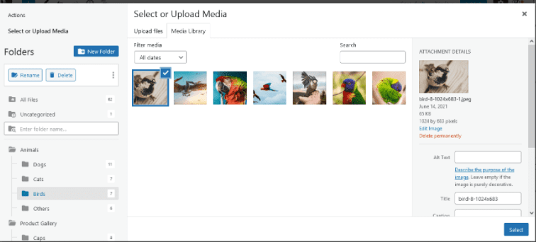 select or upload media