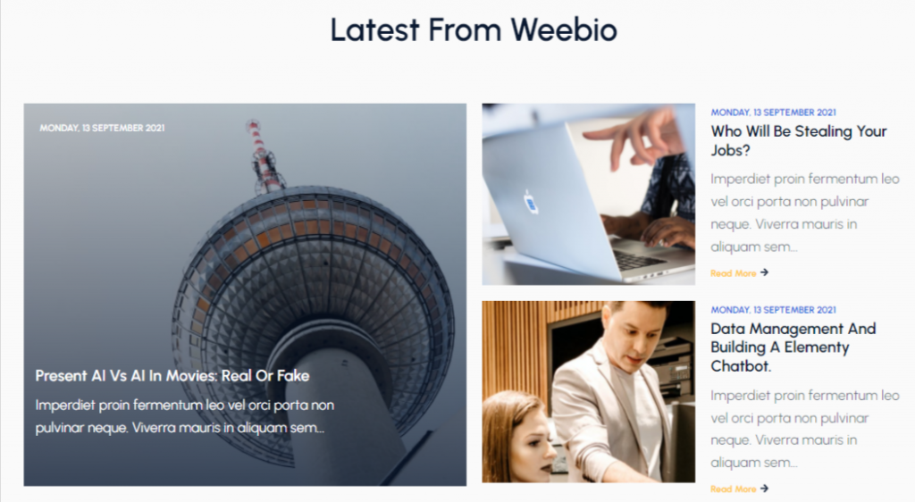Multipurpose Vs Custom HubSpot Themes What's Your Choice In 2022
