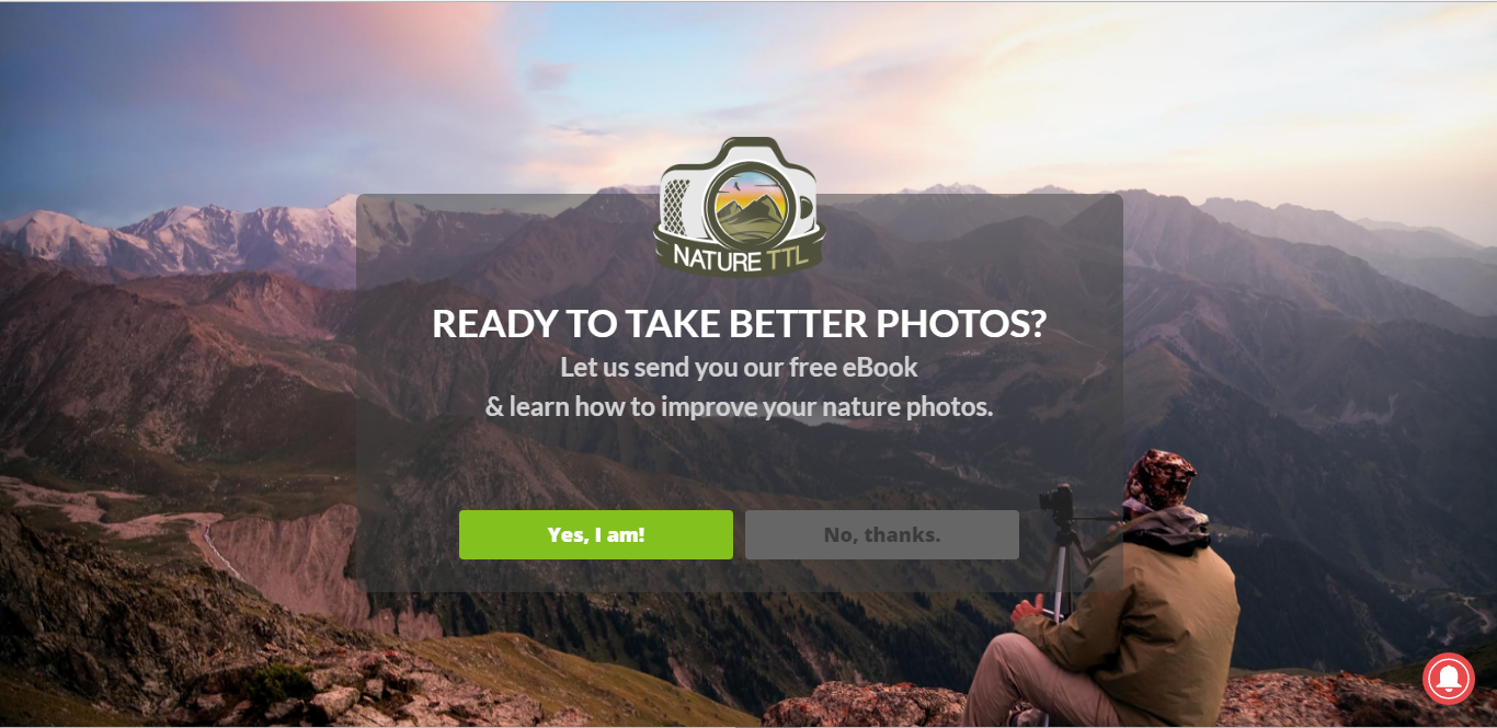 welcome coupon popup