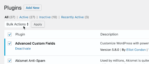 WordPress Site Deactivation